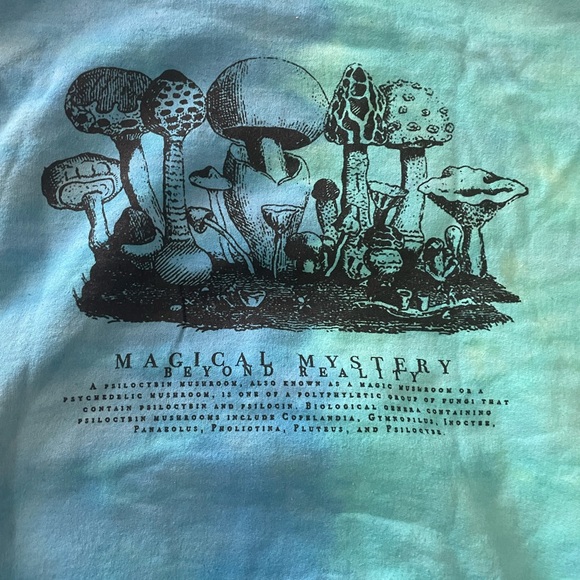 NWT Urban Outfitters hoodie - Picture 4 of 5